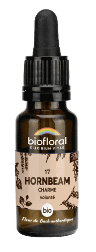 [BI168] 17 - Hornbeam - organic - 20 ml