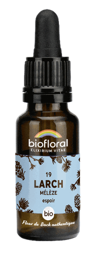 [BI169] 19 - Lariks - biologisch - 20 ml