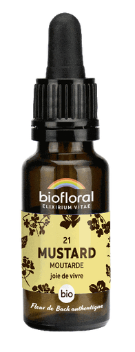 [BI171] 21 - Mustard - organic - 20 ml