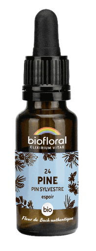 [BI174] 24 - Pin sylvestre - bio -  20 ml