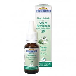 [BI178] 29 - Ster van Bethlehem - bio - 20 ml