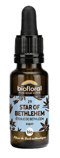 [BI178] 29 - Ster van Bethlehem - bio - 20 ml