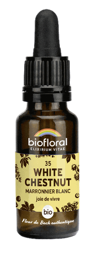[BI184] 35 - White chestnut - organic - 20 ml