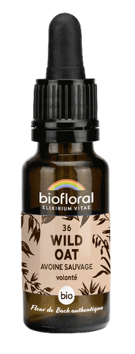 [BI185] 36 - Wilder Hafer - bio - 20 ml