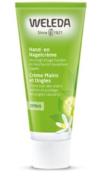 [WA025] Citrus Hand and Nail Cream
