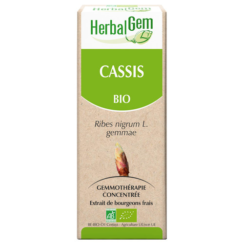 [HE204] Blackcurrant (glycerine macerate of) - ribes nigrum - organic 30 ml