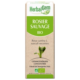 [HE209] Heckenrose Glycerinmazerat - bio