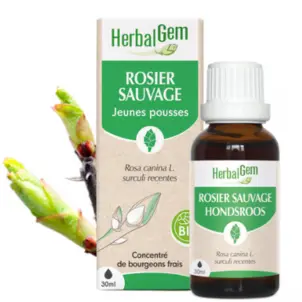 [HE209] Rosier sauvage : macérat-mère - bio 30ML