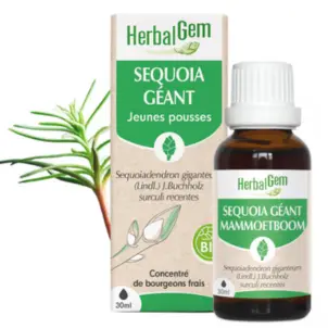 [HE210] Giant Redwood bud extract - organic