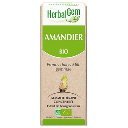 [HE305] Sweet Almond bud extract - organic