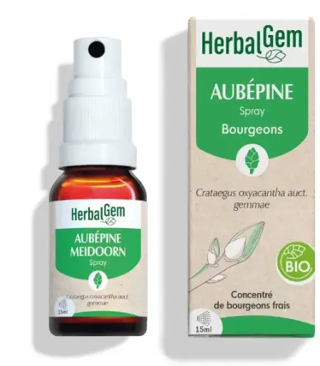 [HE307] Weißdorn Glycerinmazerat - bio