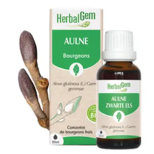 [HE308] AULNE BIO 30 ml