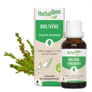 [HE310] Heide Glycerinmazerat - bio
