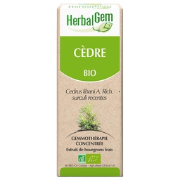 [HE314] Cedar of Lebanon bud extract - organic