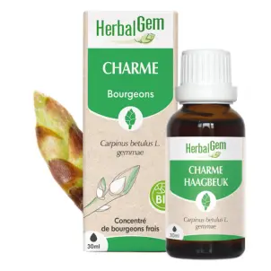 [HE316] Hornbeam (glycerine macerate of) - carpinus betulus - organic