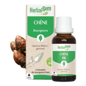 [HE318] Eiche Glycerinmazerat - bio