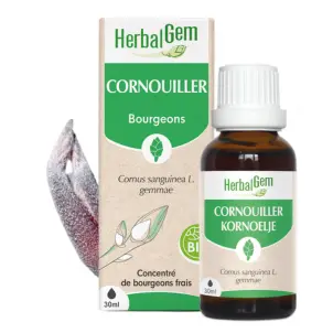 [HE322] Hartriegel Glycerinmazerat - bio