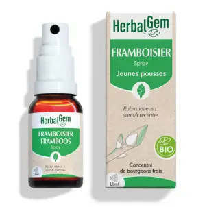 [HE334] Himbeere Glycerinmazerat - bio