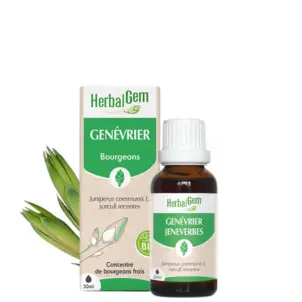 [HE336] Juniper bud extract - organic