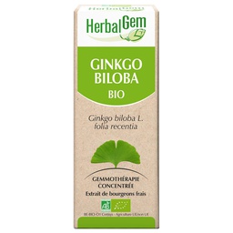 [HE337] Ginkgo Glycerinmazerat - bio