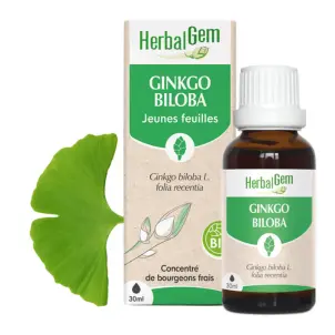 [HE337] Ginkgo bud extract - organic