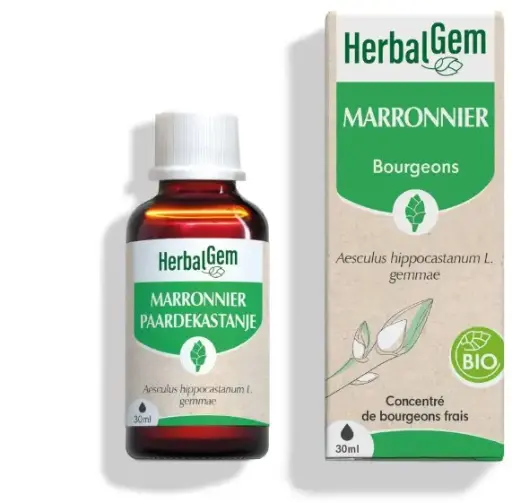 [HE342] Rosskastanie Glycerinmazerat - bio