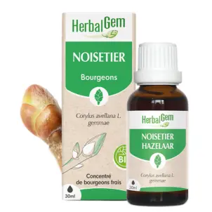 [HE349] Haselnussstrauch Glycerinmazerat - bio