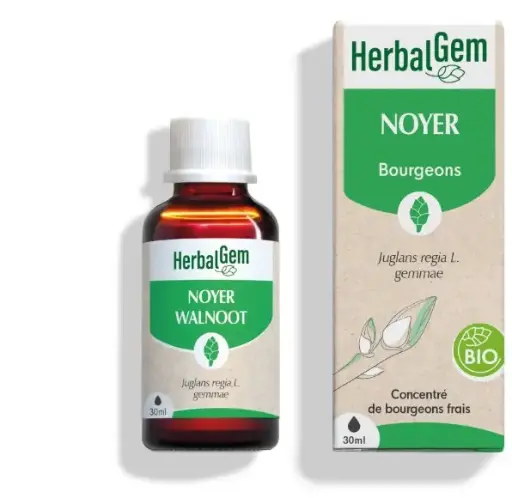 [HE350] Walnussbaum Glycerinmazerat - bio