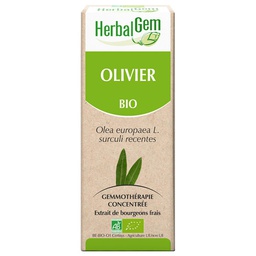[HE351] Olive bud extract - organic