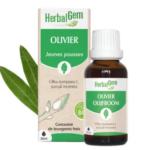 [HE351] Olijfboom moedermaceraat - bio