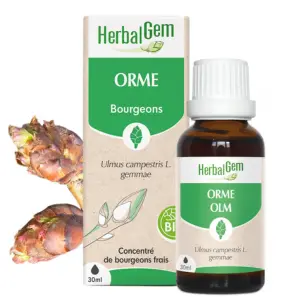 [HE353] Feldulme Glycerinmazerat - bio