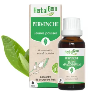 [HE355] Kleines Immergrün Glycerinmazerat - bio