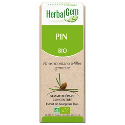 [HE357] Mountain pine bud extract - organic