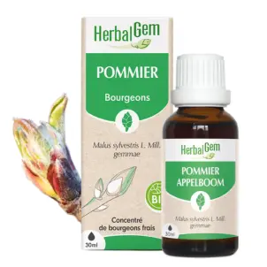 [HE359] Holzapfel Glycerinmazerat - bio