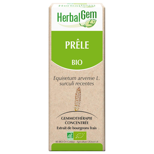 [HE360] Horsetail bud extract - organic