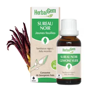 [HE373] Black elder bud extract - organic