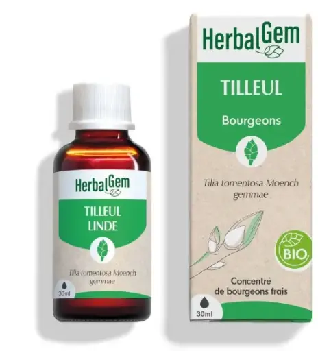 [HE374] SilberLinde Glycerinmazerat - bio