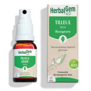[HE375] SilberLinde Glycerinmazerat - bio