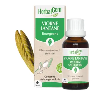 [HE385] VIORNE BIO 30 ML