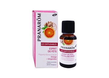 [HE617] Diffusor - Festtagsstimmung BIO (ECO) 30 ML