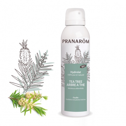 [HE658] TEEBAUM - 150ML