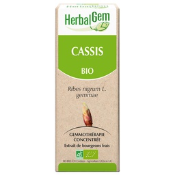 [HE028] Cassis (macérat glycériné d') - bio 50 ml