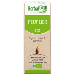 [HE052] Peuplier : macérat-mère - bio