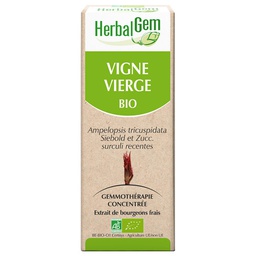 [HE067] Vigne vierge : macérat-mère - bio