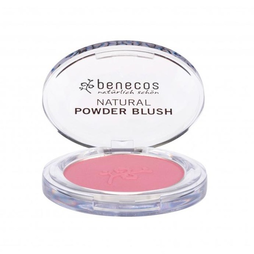 [BE095] Blush Mallow Rose