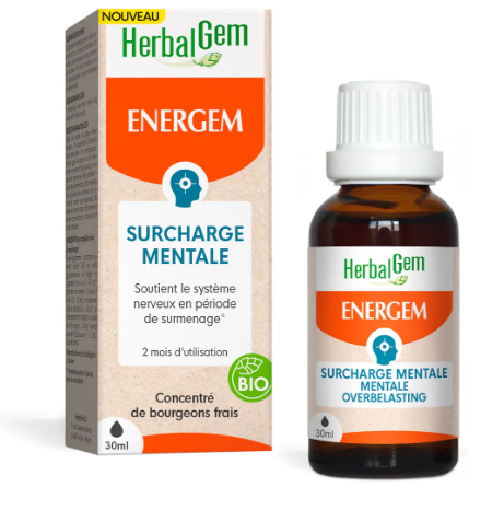 [HE753] ENERGEM mentale toeslag