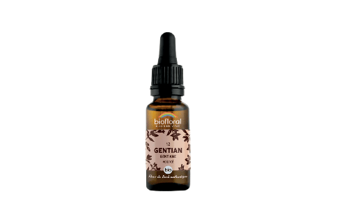 [BI210] 12 Fleur de Bach Gentiane bio Demeter