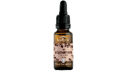 [BI211] 28 Fleur de Bach Scléranthe bio Demeter