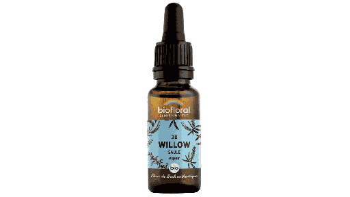 [BI212] 38 Willow - Saule organic Demeter
