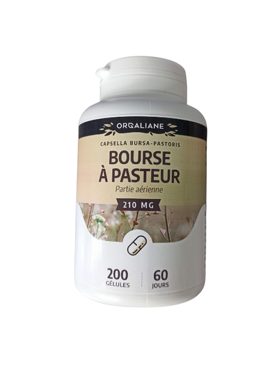 [GH043] Stipendium in Pasteur